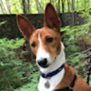 Meet your Posher, Philip